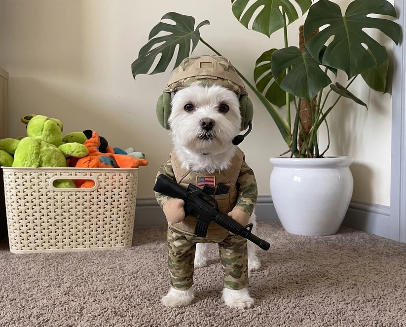 The "American Hero" Dog Costume (Easy, Adjustable Fit)