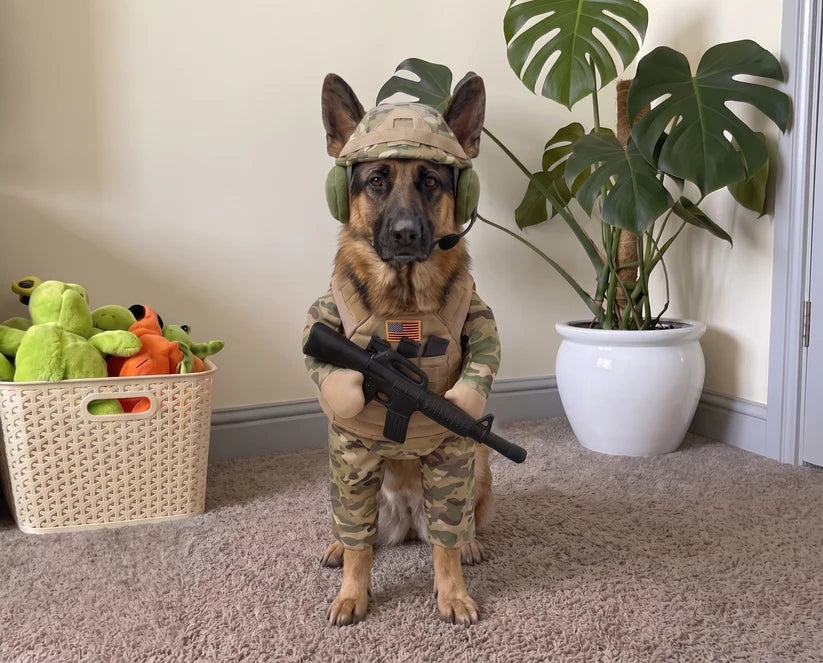 The "American Hero" Dog Costume (Easy, Adjustable Fit)
