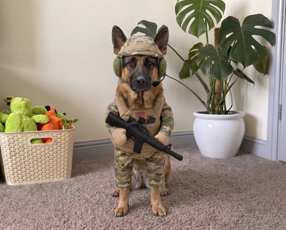 The "American Hero" Dog Costume (Easy, Adjustable Fit)